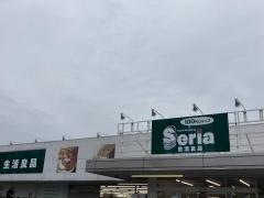 Ｓｅｒｉａ　矢取店