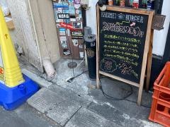 ＫＡＫＵＭＥＩ　Ｂｕｒｇｅｒ　&　ｃａｆｅ