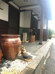 がまがえる