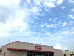 ファッションセンターしまむら　小浜店