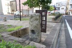新道街園