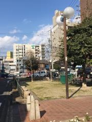 新道街園
