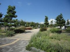 りんくう春日南緑地