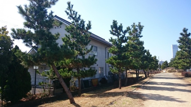 施設写真15