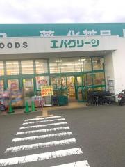 エバグリーン新中島店