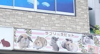 ラブリーラビット名古屋本店