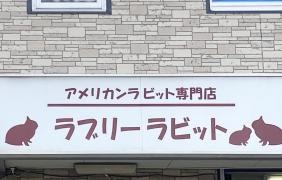 ラブリーラビット名古屋本店