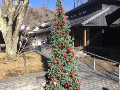ハルニレテラス希須林