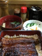 うな菊