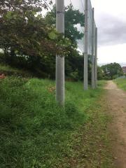 中島公園