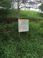 中島公園