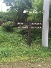 中島公園