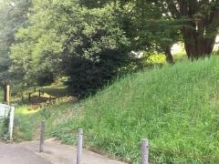 西町市民植樹の森