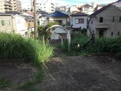 西町市民植樹の森