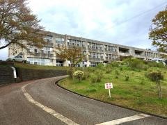 羽生田小学校