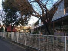 みどり丘こども園（認定こども園）