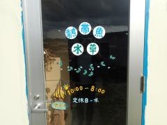 カラシン