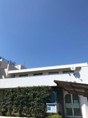 大漉内科