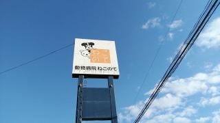 動物病院ねこのて