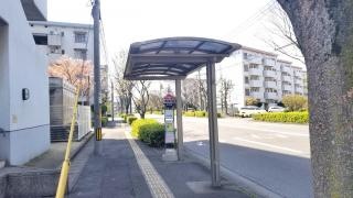 「大州運動公園」バス停留所