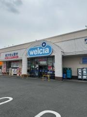 ウエルシア　高崎棟高店