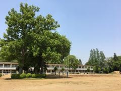 川間小学校
