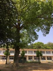 川間小学校