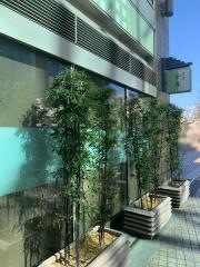 蕎麦酒房・千年