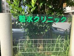 若水クリニック