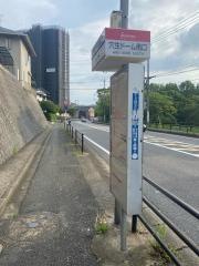 「穴生ドーム南口」バス停留所