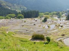 丸山千枚田