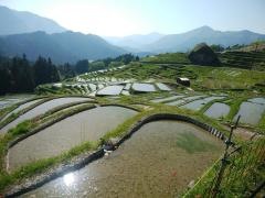 丸山千枚田
