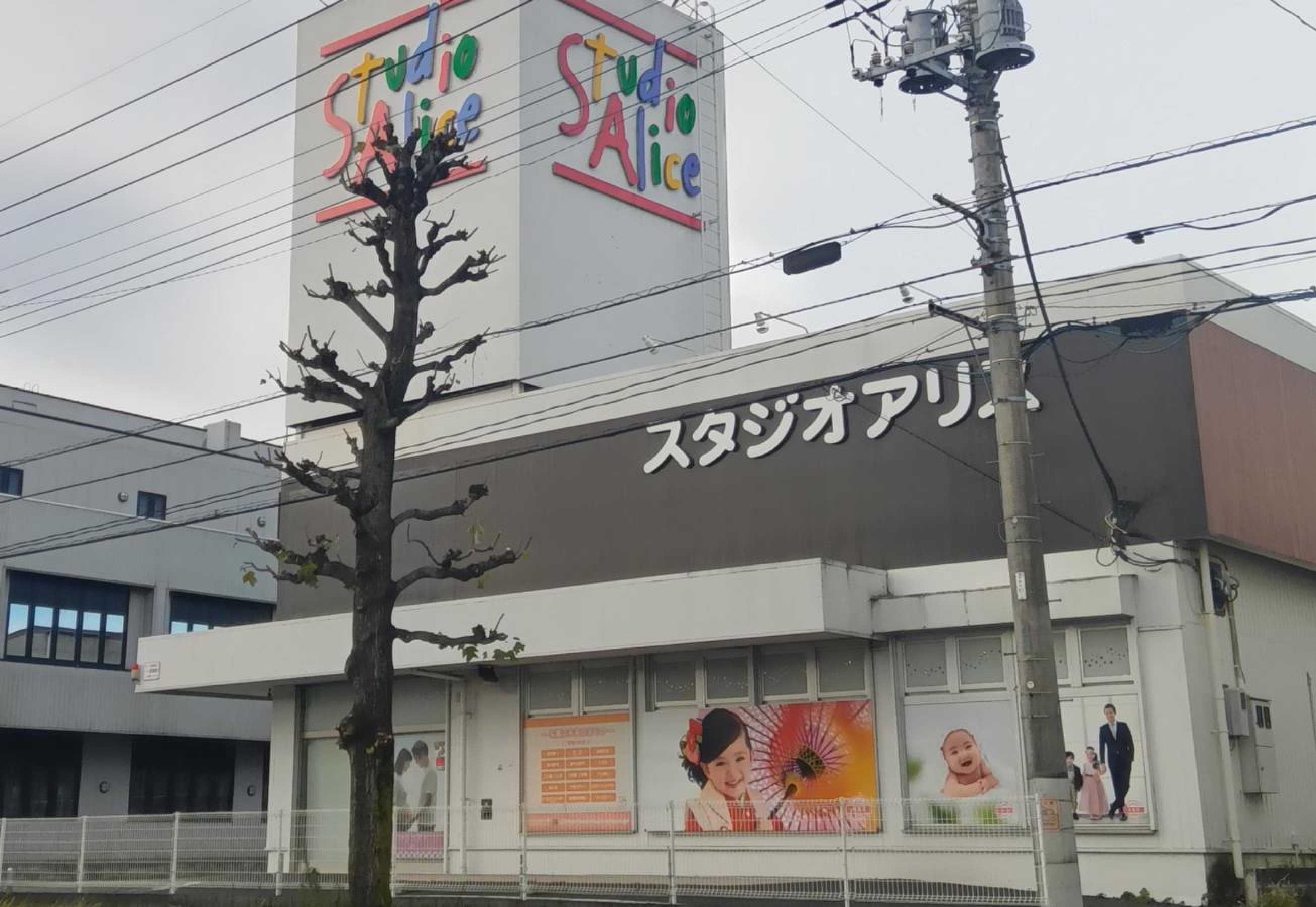 活動歴および当時の関連ビジュアル記録