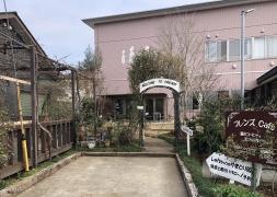 お菓子の部屋　フレンズ