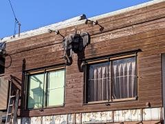 サヤーム　エラワン