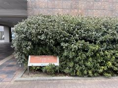 ニチイホーム　王子