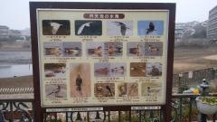 弁天池公園