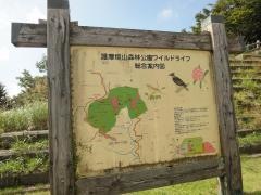 護摩壇山森林公園ワイルドライフ