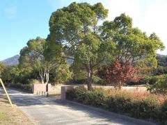 鳴門町7号公園