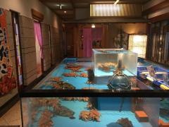 海鮮料理　はこだて亭