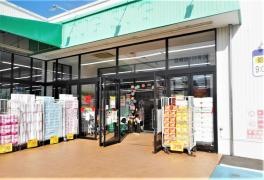 キャンドゥ　住崎店