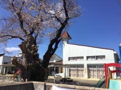 常磐幼稚園
