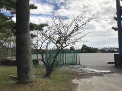 常滑市立鬼崎中学校