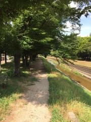 ふれあい緑道