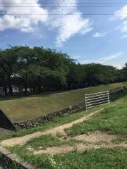 ふれあい緑道