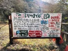 阪南市鳥取池緑地桜の園