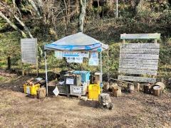 阪南市鳥取池緑地桜の園