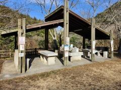 阪南市鳥取池緑地桜の園