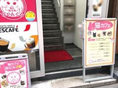 猫カフェ・にゃんくる　桜木町店
