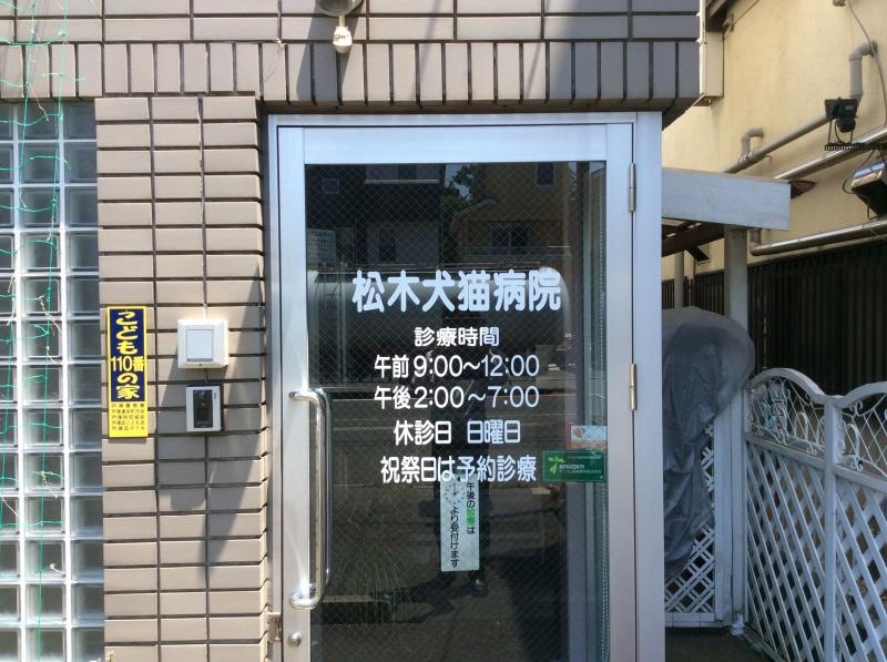 診療案内